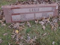 Chicago Ghost Hunters Group investigates Archer Woods Cemetery (19).JPG